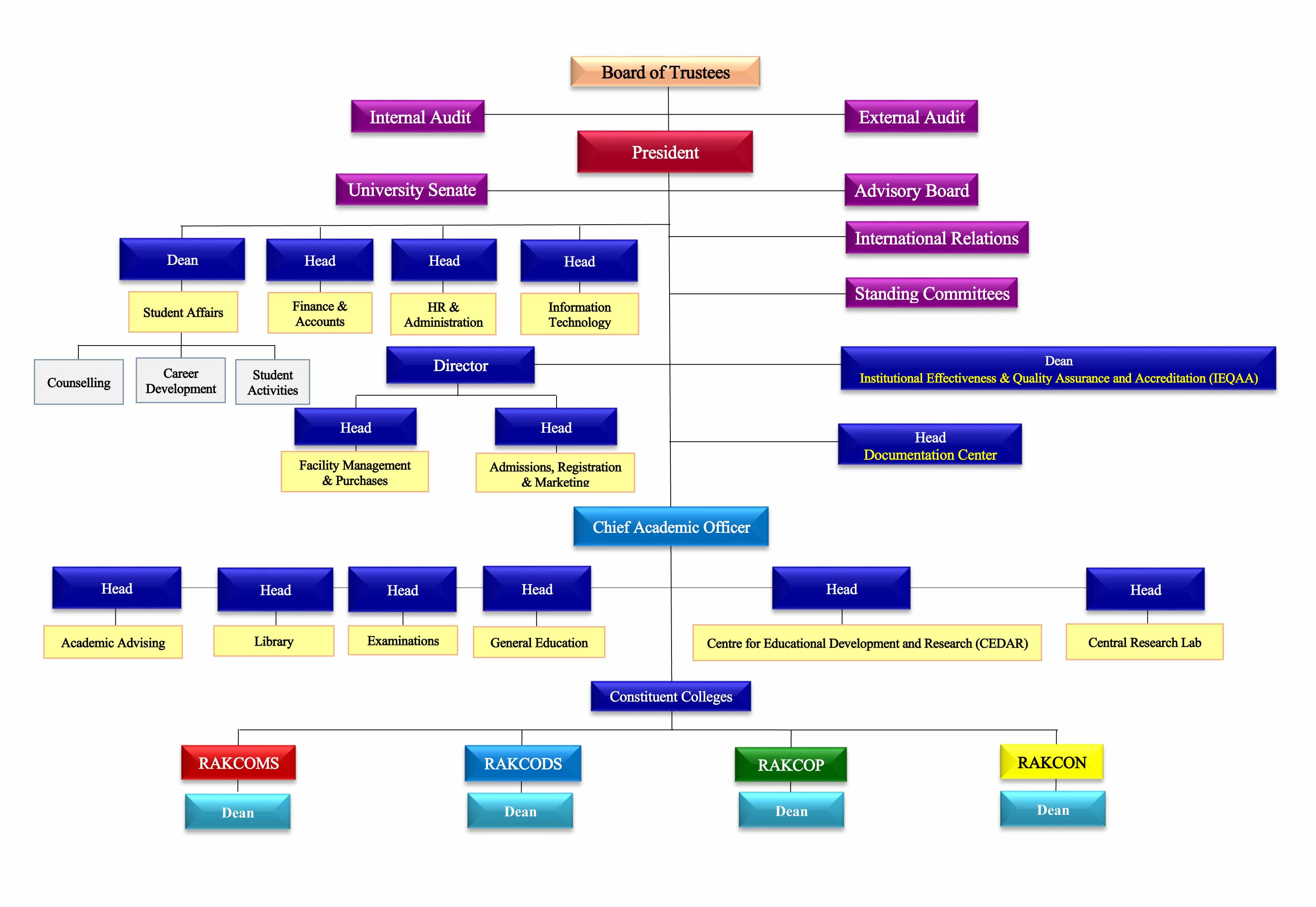 RAKMHSU Organizational Chart